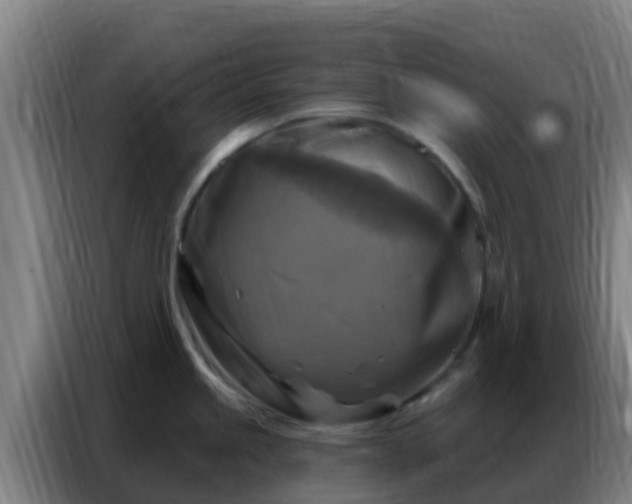 X0000086801245200704201857