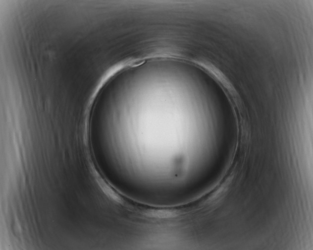 X0000086801246200704201857