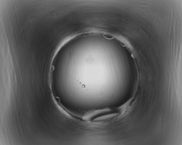 X0000086801247200704201857