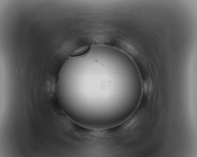 X0000086801251200704201856