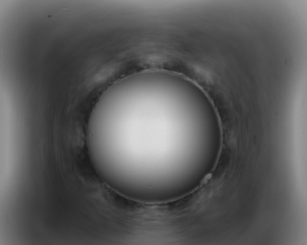 X0000086801253200704201856