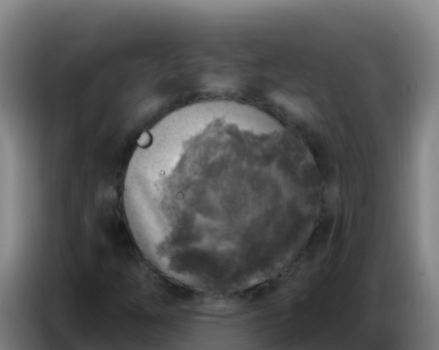 X0000086801254200704201856