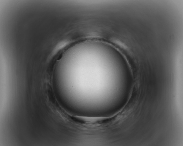 X0000086801255200704201856