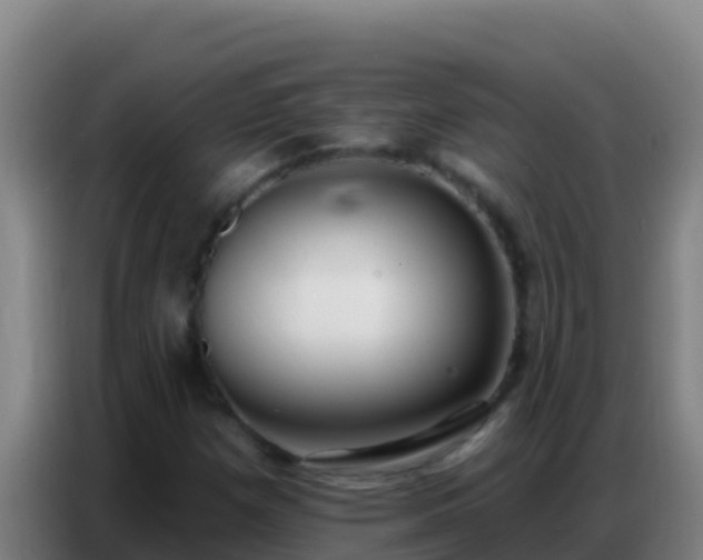 X0000086801257200704201856