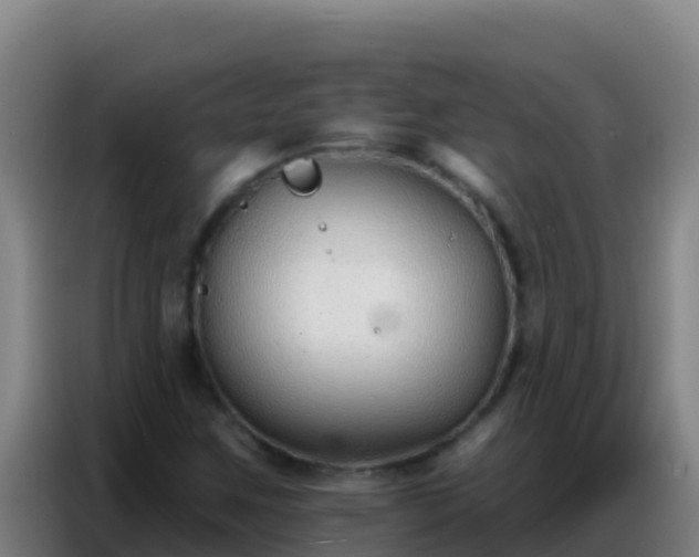 X0000086801259200704201856