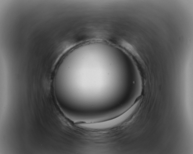 X0000086801260200704201856