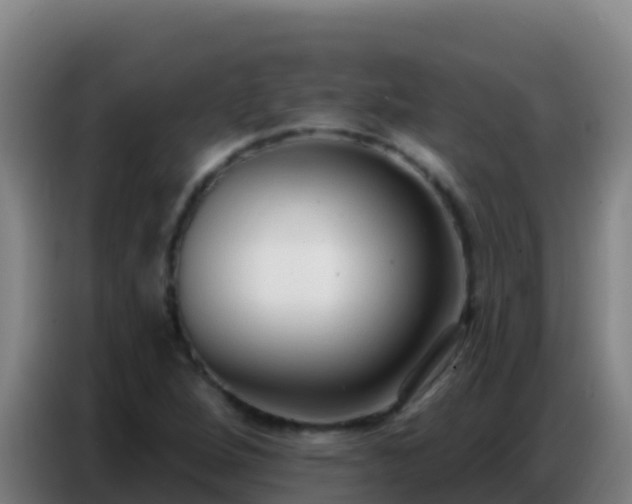 X0000086801264200704201856