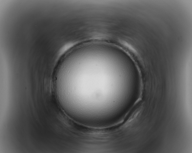 X0000086801267200704201856
