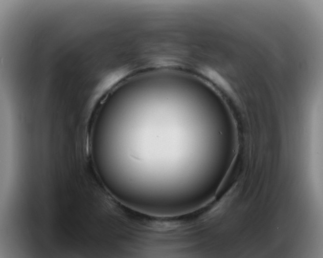 X0000086801269200704201856