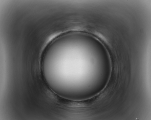 X0000086801270200704201856
