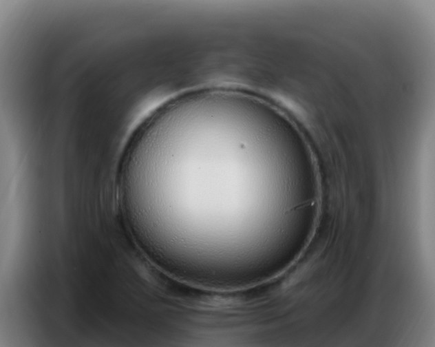 X0000086801271200704201856