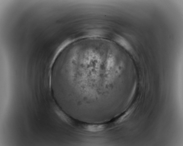 X0000086801275200704201856