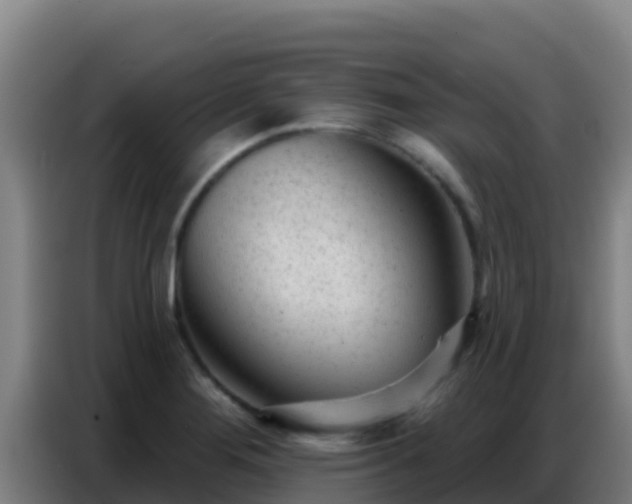 X0000086801276200704201856