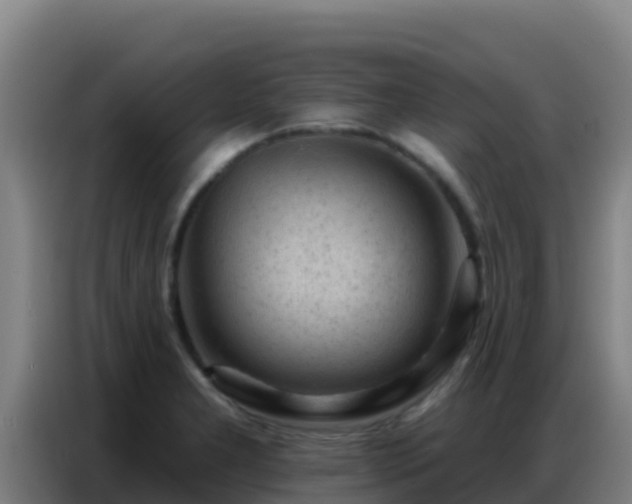 X0000086801277200704201856