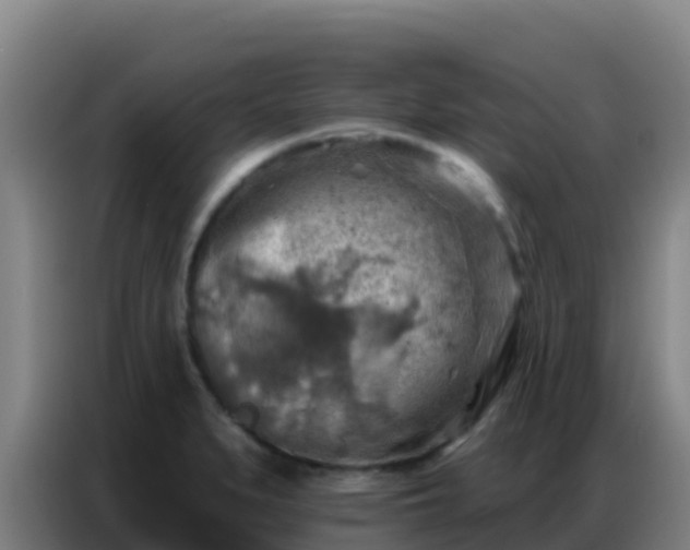 X0000086801279200704201856