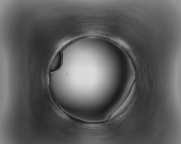 X0000086801280200704201856