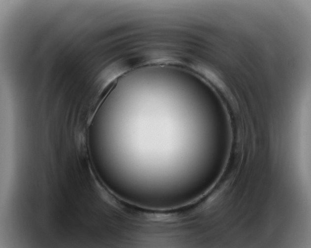 X0000086801281200704201856
