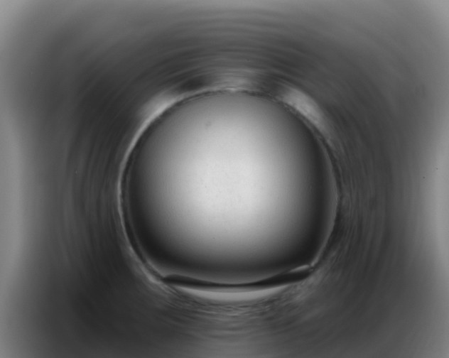 X0000086801283200704201856