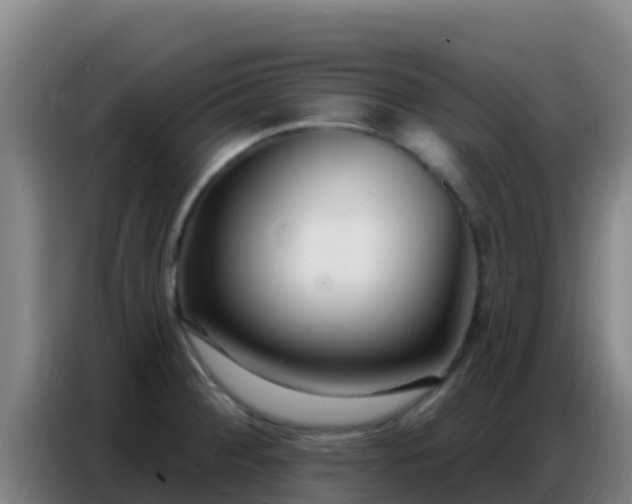 X0000086801284200704201856