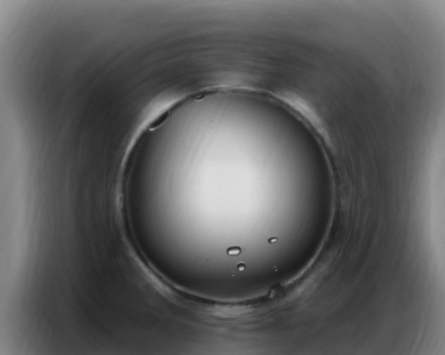 X0000086801285200704201856