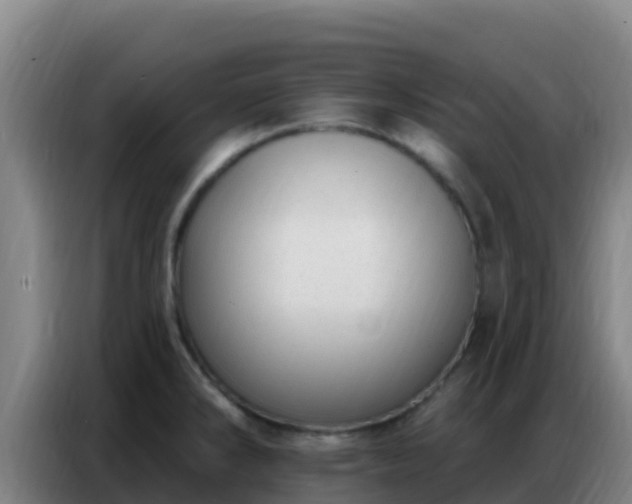 X0000086801286200704201856