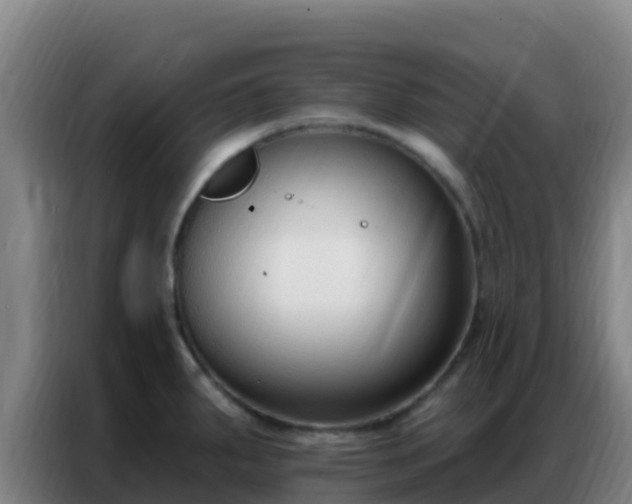 X0000086801287200704201856