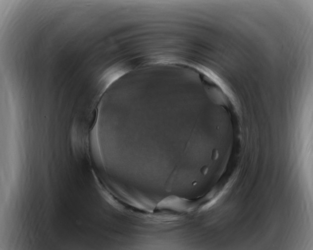 X0000086801289200704201856