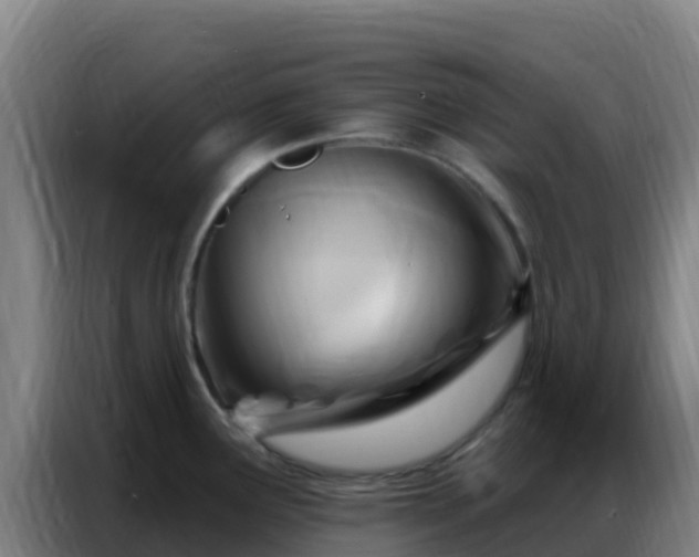 X0000086801291200704201856