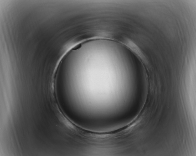 X0000086801292200704201856
