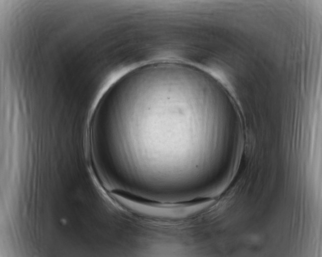 X0000086801295200704201856