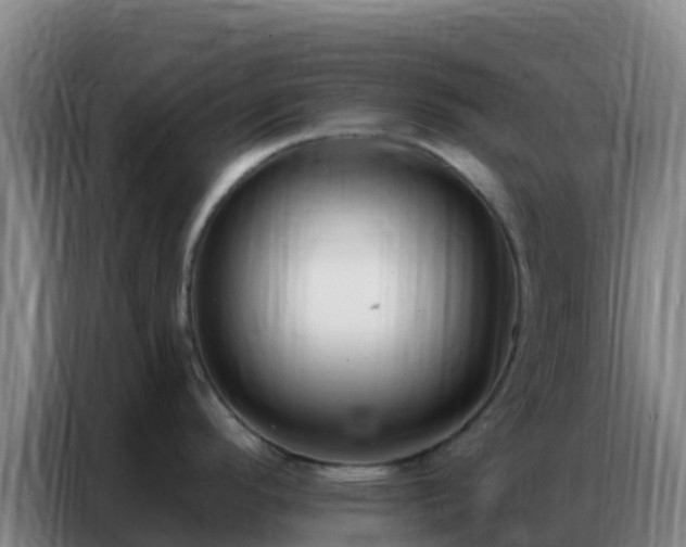 X0000086801296200704201856