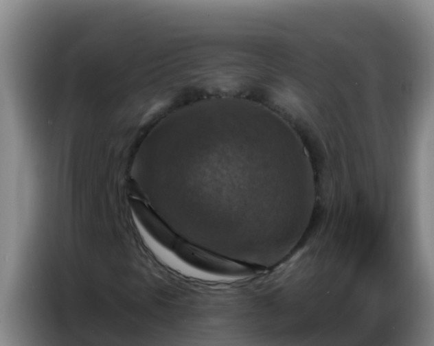 X0000086801297200704201855