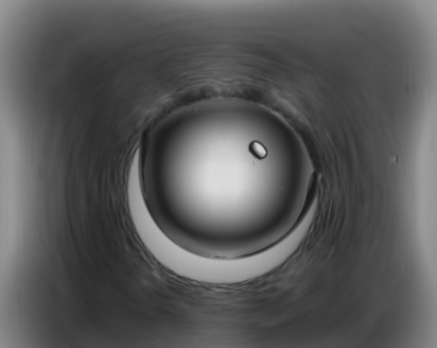 X0000086801298200704201855