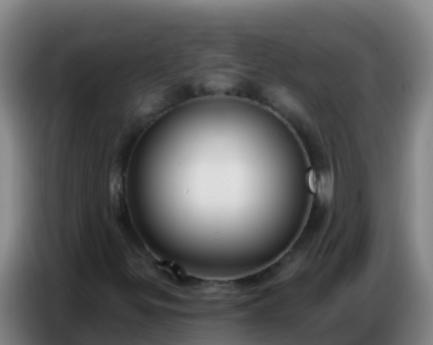 X0000086801299200704201855