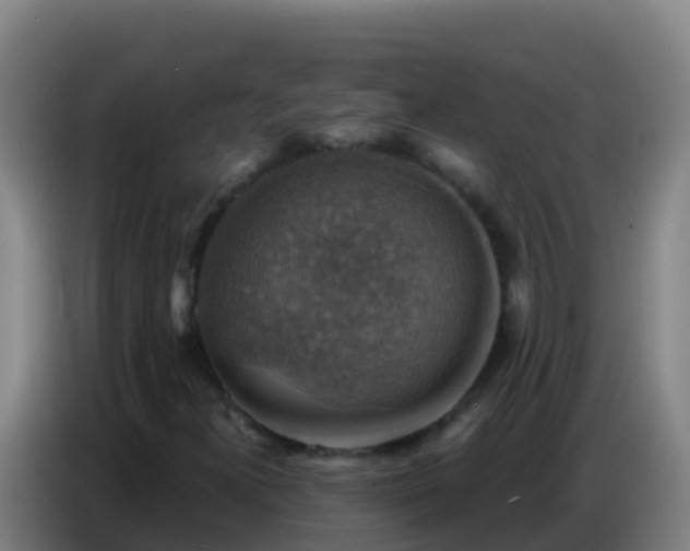 X0000086801300200704201855