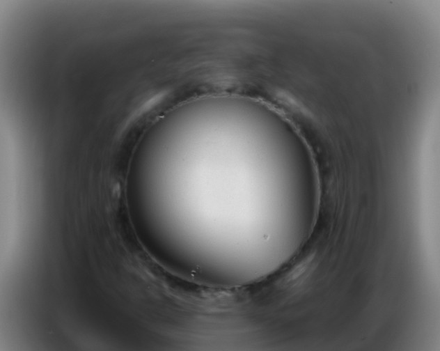 X0000086801302200704201855