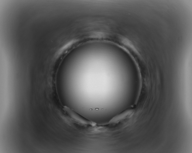 X0000086801304200704201855