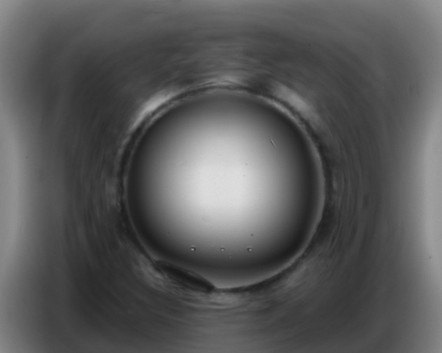 X0000086801308200704201855