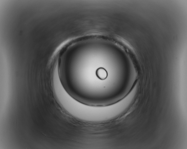 X0000086801310200704201855