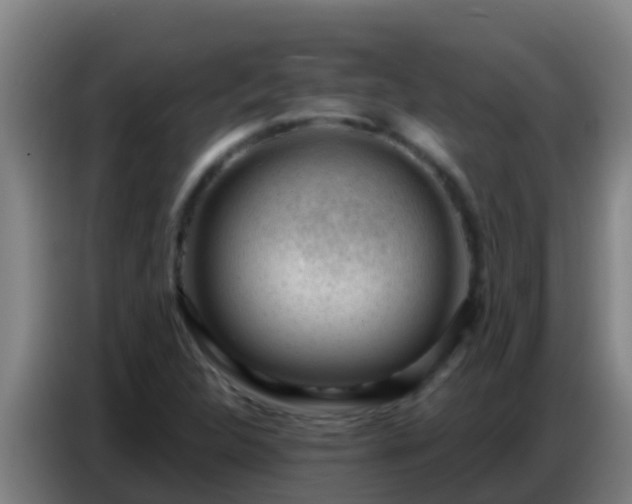 X0000086801312200704201855
