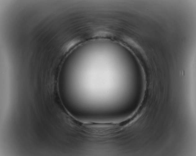 X0000086801313200704201855