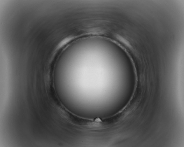 X0000086801315200704201855