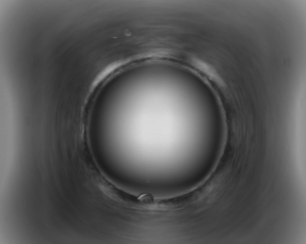 X0000086801316200704201855