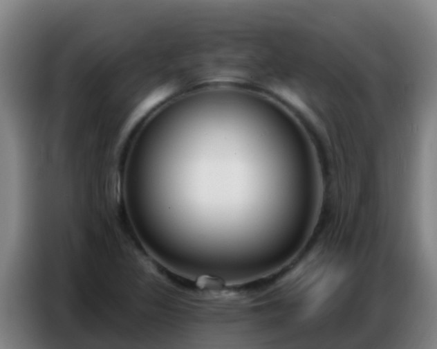 X0000086801317200704201855