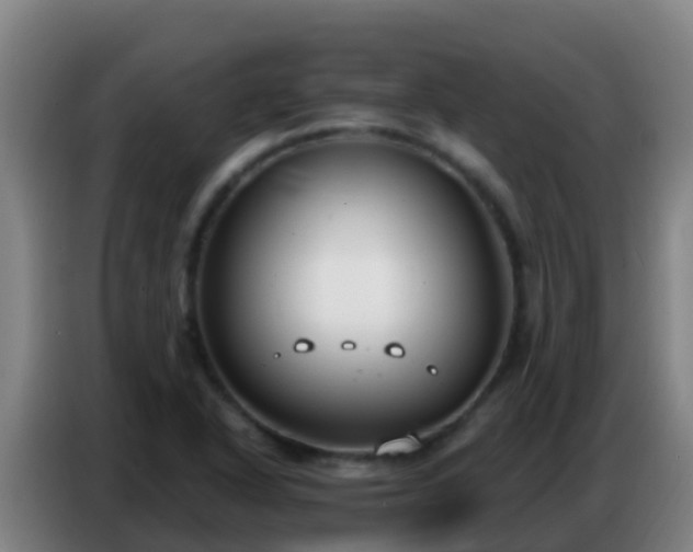 X0000086801318200704201855