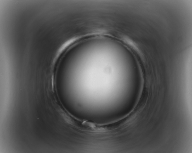 X0000086801320200704201855