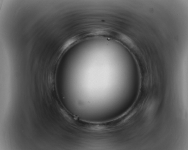 X0000086801321200704201855