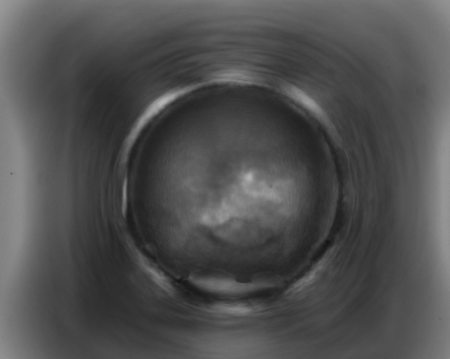 X0000086801323200704201855