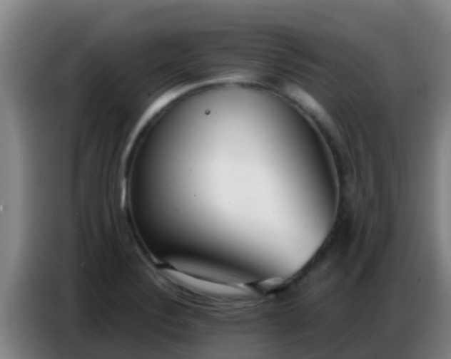 X0000086801324200704201856