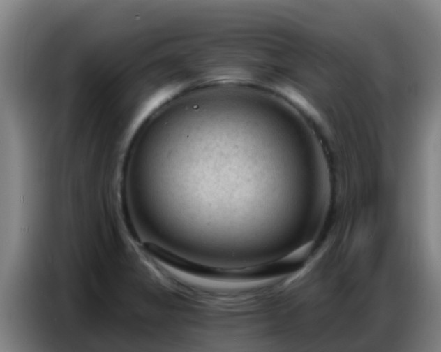 X0000086801325200704201856